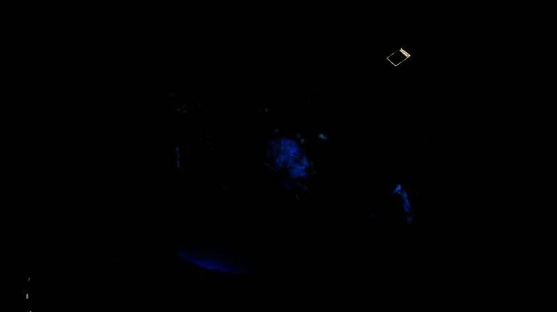 《金色的光芒》游戏画面相关图片10