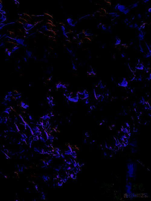 支付宝蚂蚁庄园相关图片3