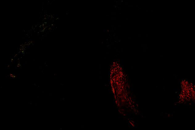 《怪物猎人：NOW》更新相关画面