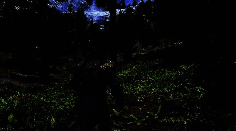 《上古卷轴5：天际》运行画面