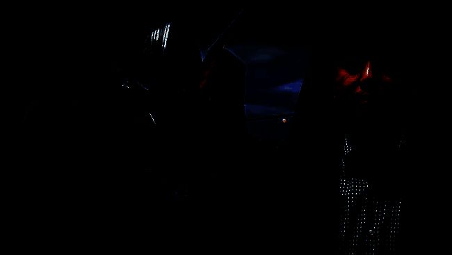 《艾尔登法环：黑夜君临》的又一画面