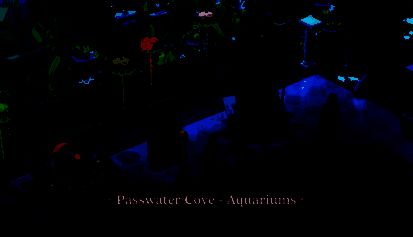 海洋生物主题博物馆场景图