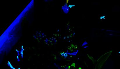 海洋生物展品图