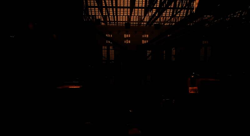 《达尔文悖论》游戏截图5