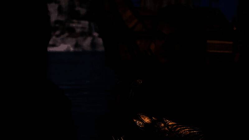 《刺客信条:影》相关图片2