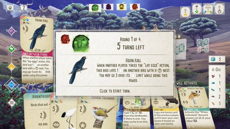 展翅翱翔亚洲篇视觉画面