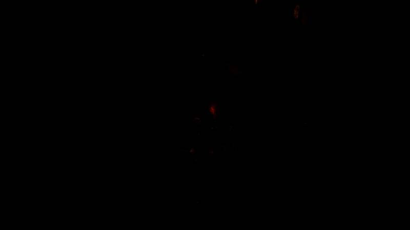 《艾尔登法环：黑夜君临》视频画面4