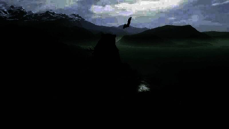 《Wild》相关宣传画面