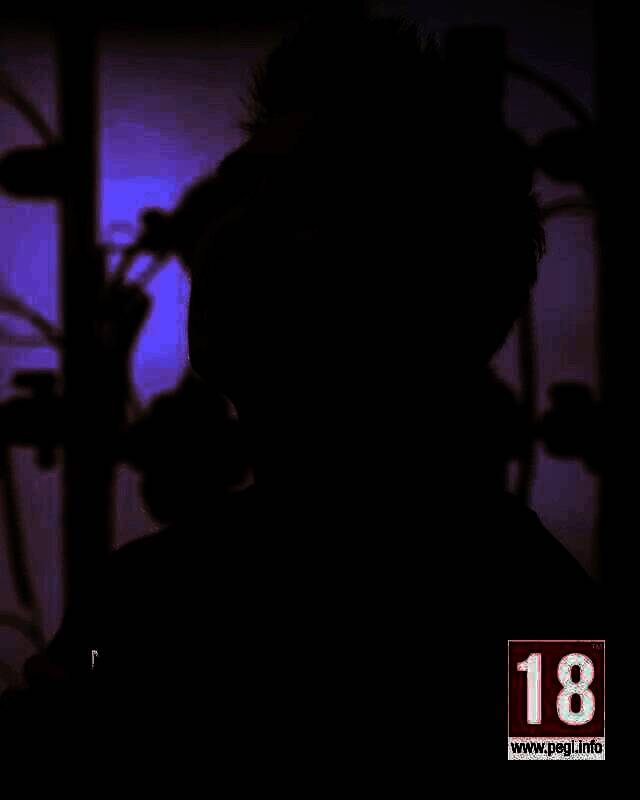 《刺客信条：影》视频画面