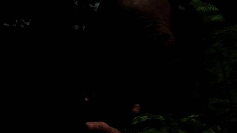 《合金装备3：重制版》视频画面6