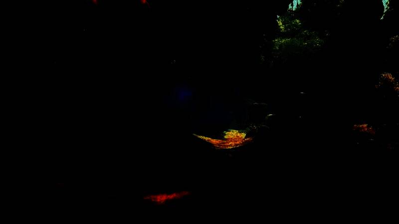 《遗产:钢铁与巫术》相关图片2