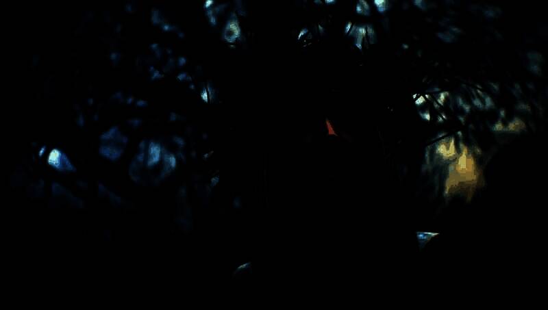 《巫师4》相关配图2