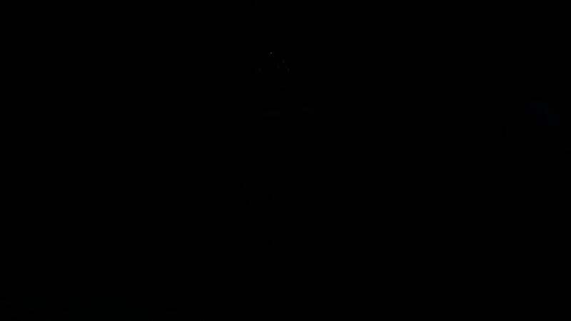 《怪物猎人：荒野》游戏截图2