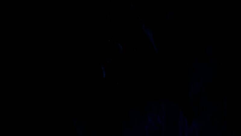 《怪物猎人：荒野》游戏截图4