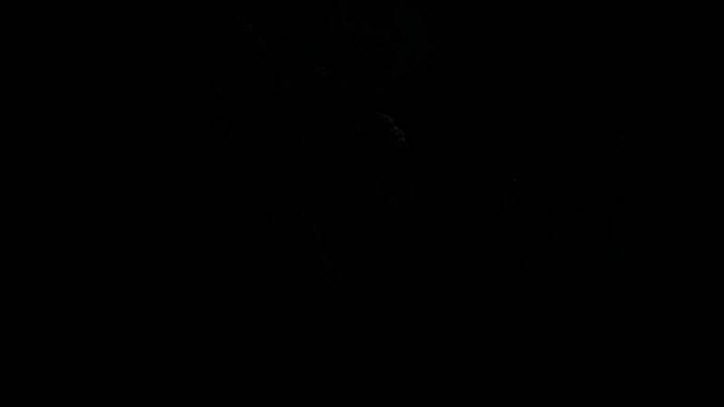 《怪物猎人：荒野》游戏截图7