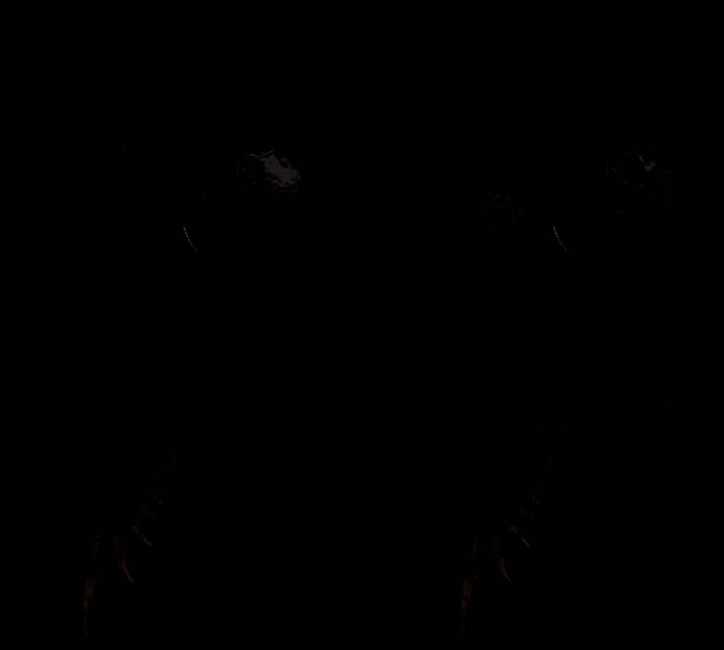 《怪物猎人：荒野》武器特色图片