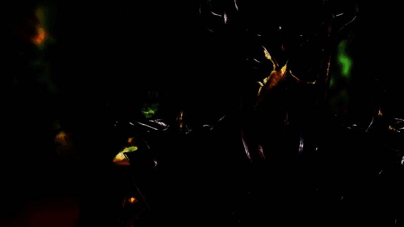 《上古卷轴》相关画面