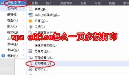WPS Office相关界面图片