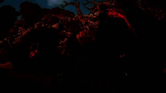 《怪物猎人：荒野》相关画面1