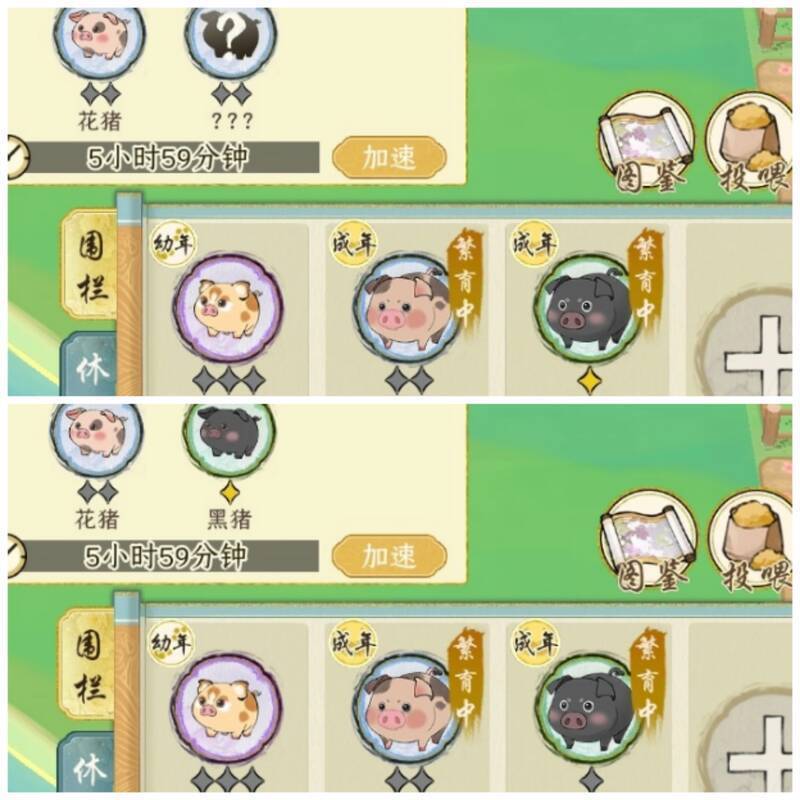 《华夏千秋》相关图片5