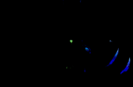 不死厄里克的另一个视角