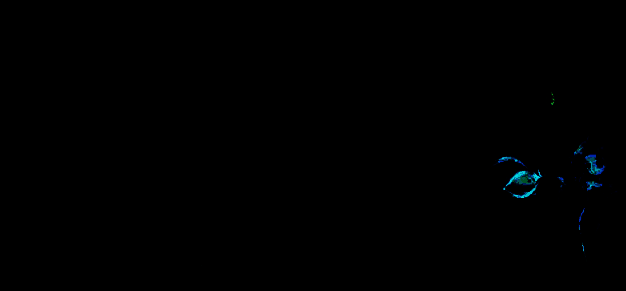 冷周六相关图片5