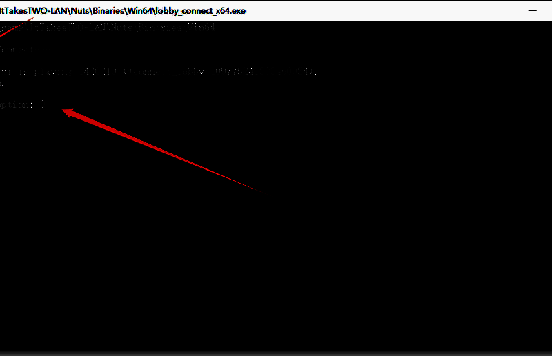 黑框功能说明界面