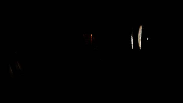 鸽子快递员送披萨场景1