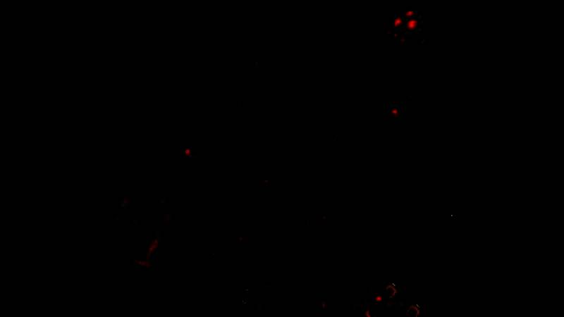 《清算》游戏画面相关图片4