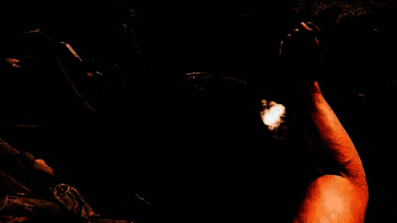 《Bushcraft Simulator》游戏特点展示图6