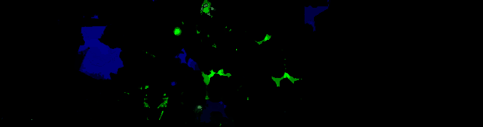 单人或与朋友一起游戏画面