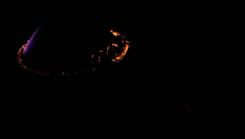 黑神袜宣传图，模特展示连裤丝袜样式