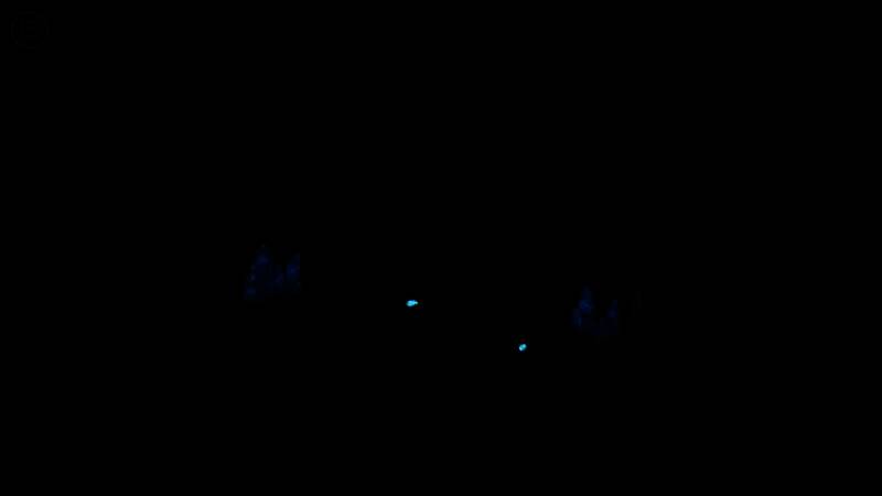 星之仪式：重制版游戏画面7