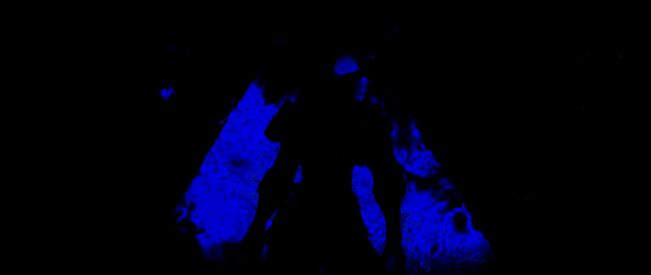 龙息神寂蜥蜴人相关图片5