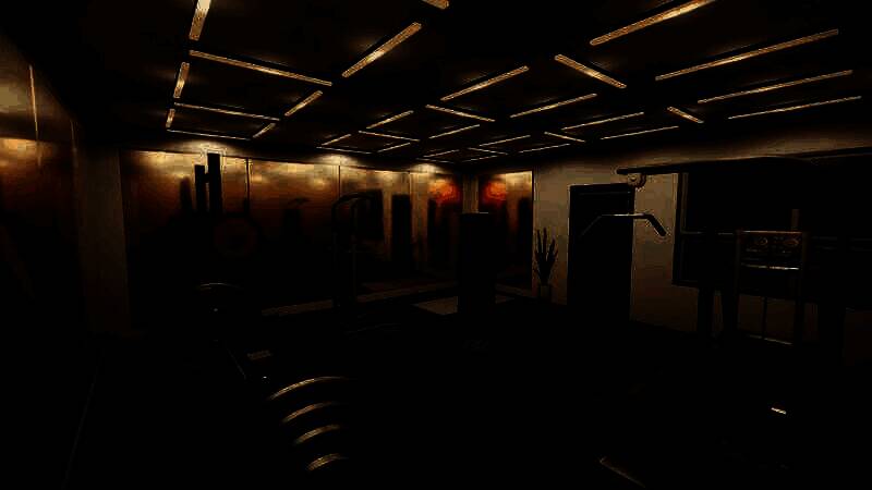 inZOI极简健身房房间内部设施1