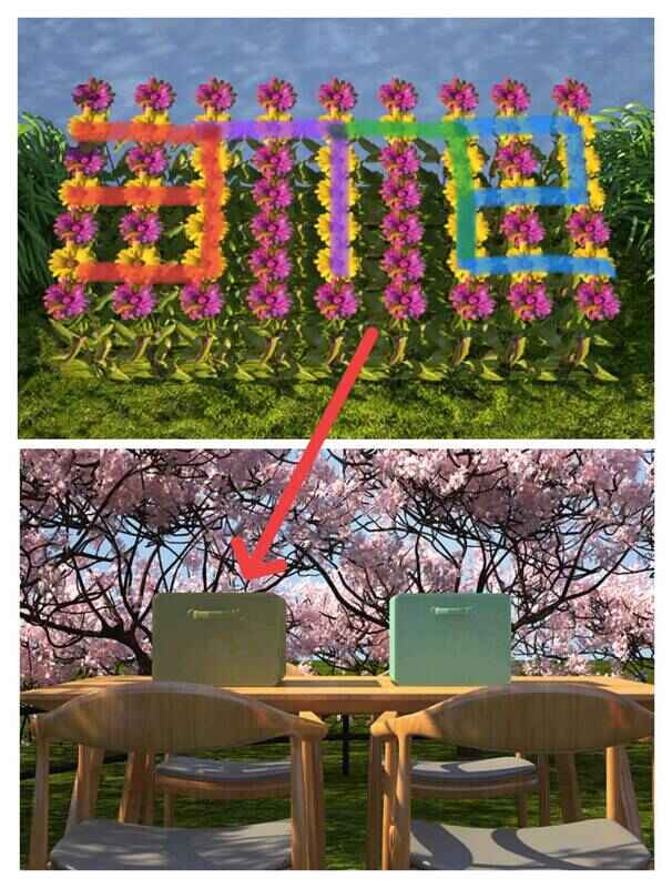 观察花丛图案找密码的画面