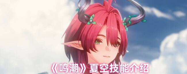 鸣潮夏空角色图片