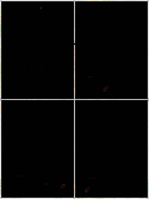 右侧药材柜子及药材标签