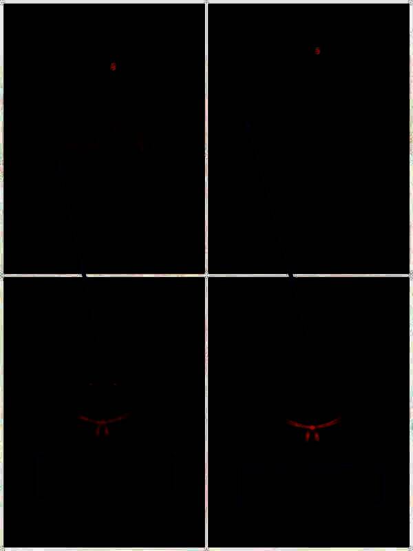 石狮子标记颜色及眼睛状态 1