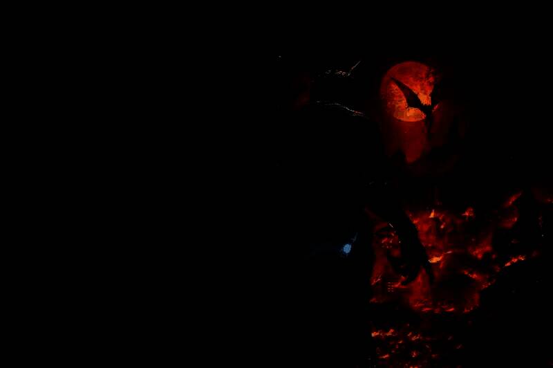 《堕落之主》相关配图1