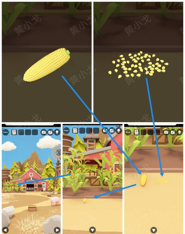 农场玉米地画面