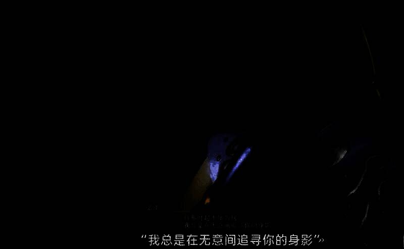 《真三国无双:起源》游戏内截图4