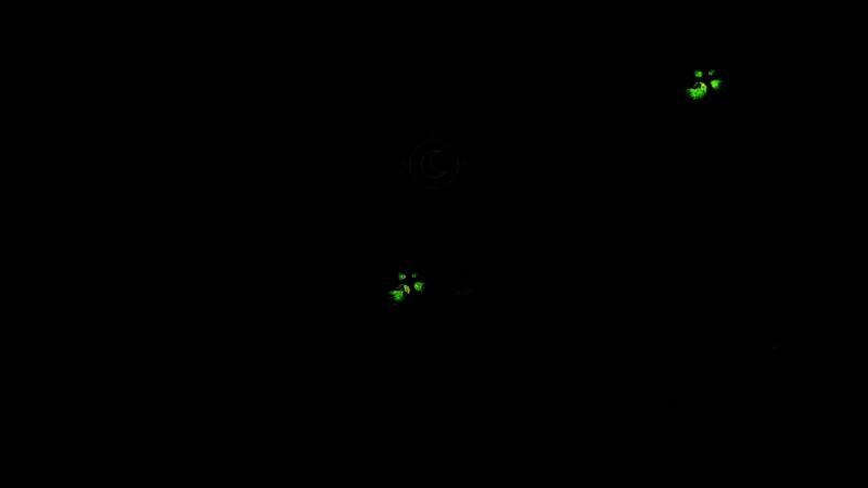 《孤独的灵魂》游戏截图1