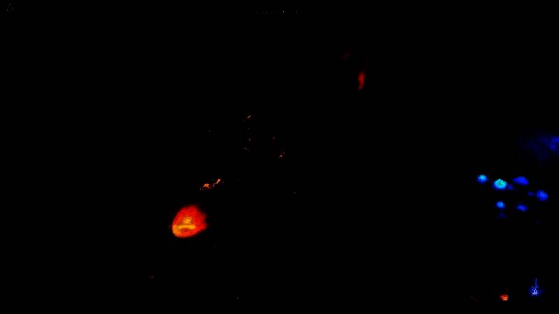 《孤独的灵魂》游戏截图4