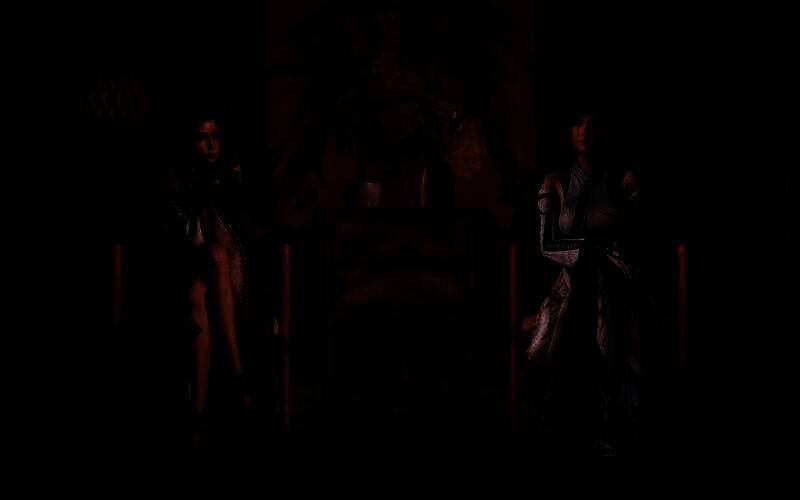 《最终幻想7》蒂法和爱丽丝3D图1