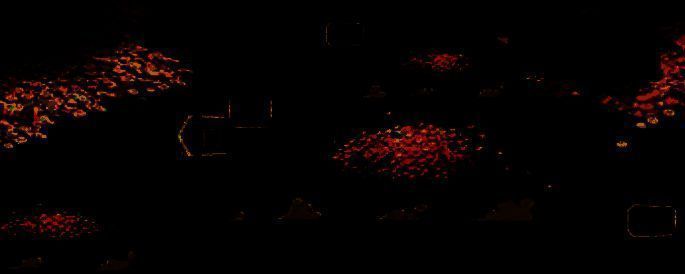 剑与远征异域夺金相关图片6