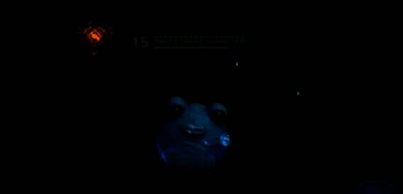 蛙蛙技能效果展示图