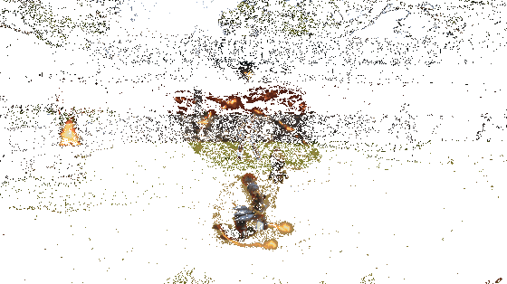 《剑灵2》彩绫职业凤凰氏技能动图