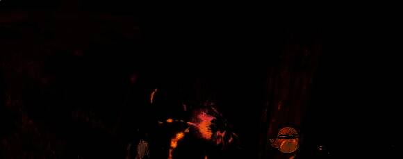 顺着木头走到正前方的路线图