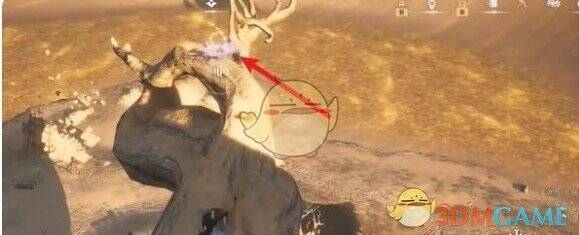 树上蹊跷位置图